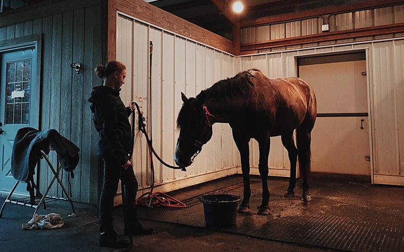 Livestock & Agriculture | Walkway, Wash Bay & Tack Room Mats