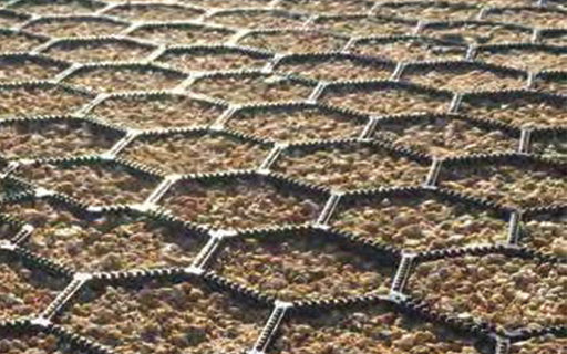 Close up image of the ground stabilising paver perfect for driveways.