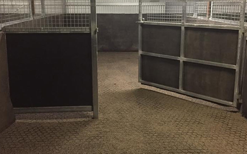 Insitu images of the ground stabilising pavers perfect for feedlots for cattle and equine.