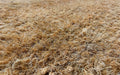 Close up image of the coir material