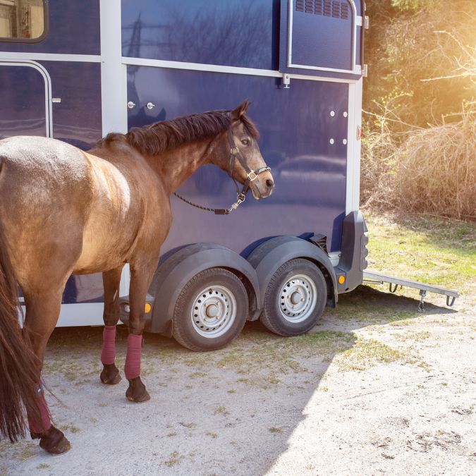 Livestock & Agriculture Mats | Shop All