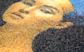 Close up product image for PrintScraper Logo Mat of indoor or outdoor use