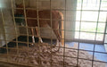 Stable Mat in stable with Horse